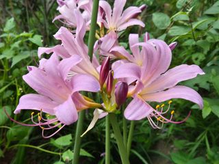 안길원님의 자유주제 · 자유게시판 작성글 사진