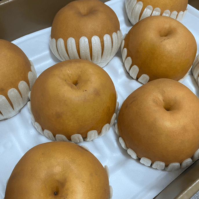 장터 상품 [나주 배(원황)] 썸네일