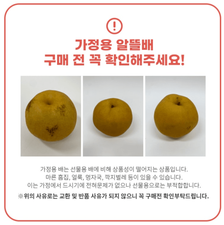 스피드번님의 장터 판매 상품 [나주 배(원황)] 첨부 사진