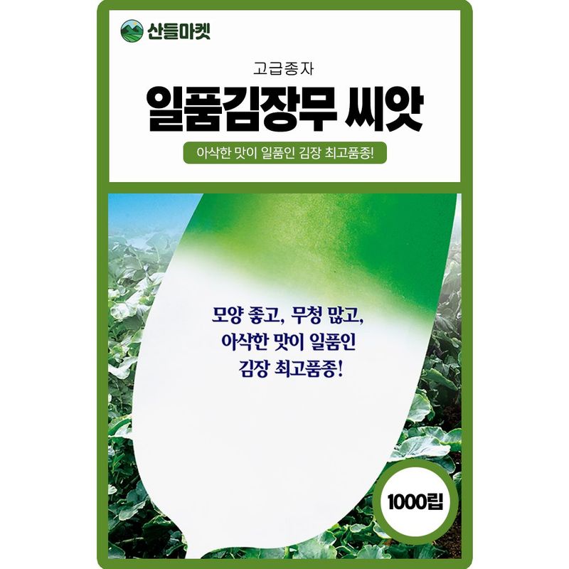 장터 상품 [일품김장무씨앗 1000립 종자 5봉 구매시+랜덤씨앗 1개 증정] 썸네일