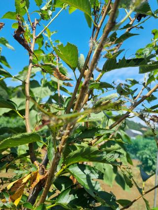 이병문님의 자유주제 · 자유게시판 작성글 사진