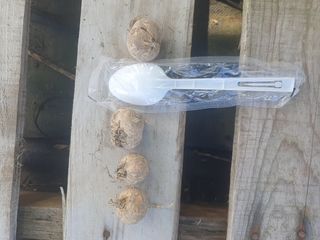 용산골님의 자유주제 · 자유게시판 작성글 사진