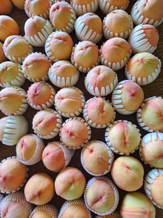 딱딱이~~님의 자유주제 · 자유게시판 작성글 사진