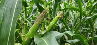 박종혁 님의 자유주제 · 자유게시판 작성글 사진