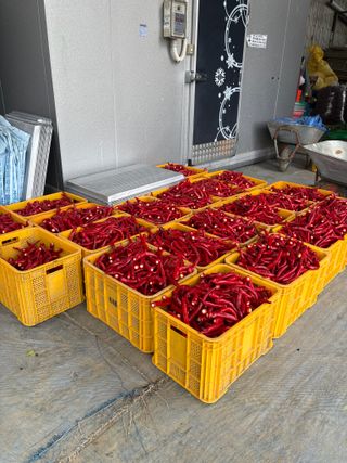 추성호님의 자유주제 · 자유게시판 작성글 사진