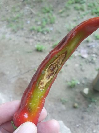 알바트로스k님의 자유주제 · 자유게시판 작성글 사진