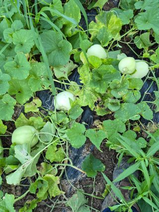 이정민님의 자유주제 · 사진전 작성글 사진