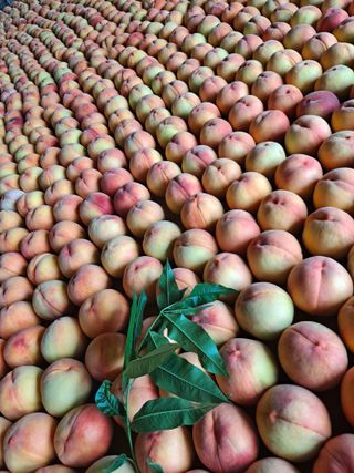 딱딱이~~님의 자유주제 · 자유게시판 작성글 사진