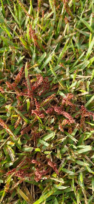 청도군님의 자유주제 · 자유게시판 작성글 사진