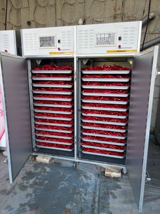 추성호님의 자유주제 · 자유게시판 작성글 사진