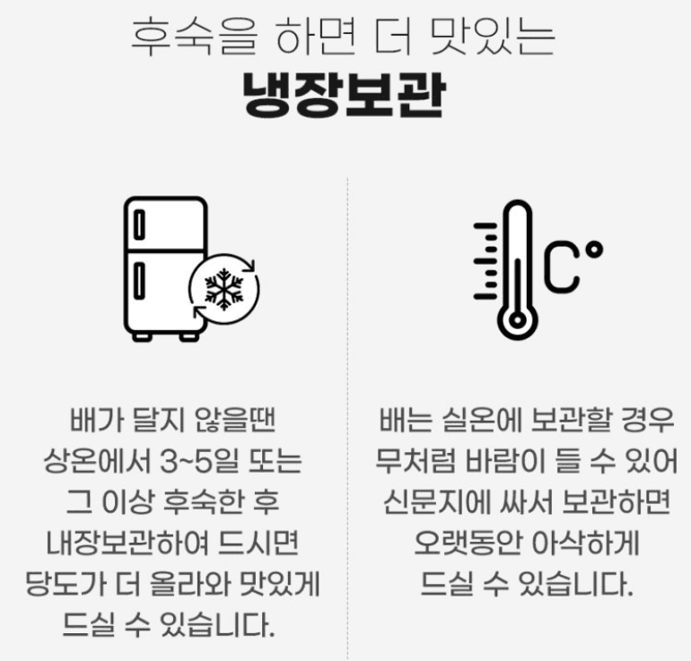 스피드번님의 장터 판매 상품 [나주 배(원황)] 첨부 사진