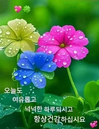 안길원님의 자유주제 · 자유게시판 작성글 사진