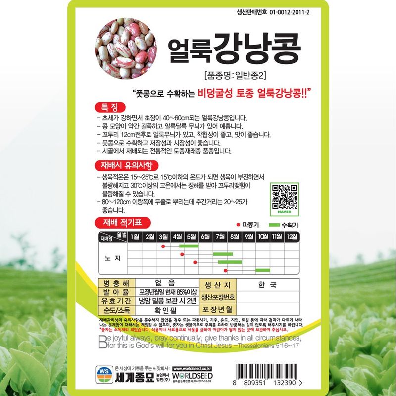 산들마켓,씨앗마켓님의 장터 판매 상품 [얼룩강낭콩 씨앗 30g 종자 5봉 구매시+랜덤씨앗 1개 증정] 첨부 사진