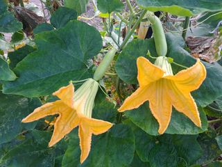 울금박사/빈덕열목사님의 자유주제 · 자유게시판 작성글 사진