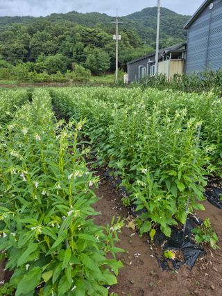 농부님.모두.모두힘님의 작성글 사진