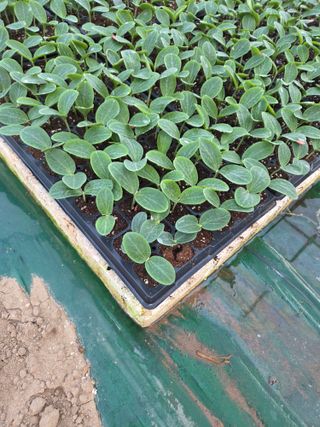 머슴님의 자유주제 · 자유게시판 작성글 사진