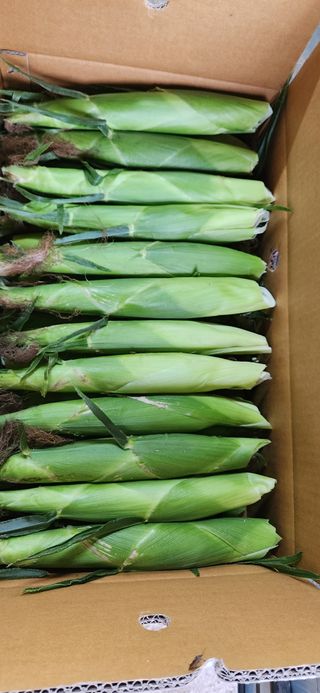 박종혁 님의 자유주제 · 자유게시판 작성글 사진