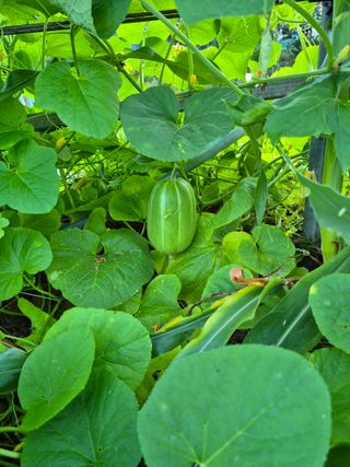 이정민님의 자유주제 · 사진전 작성글 사진