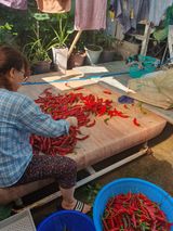 팜모닝 자유주제·자유게시판 게시글 이미지