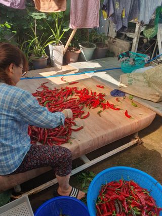 옥천서화농님의 자유주제 · 자유게시판 작성글 사진