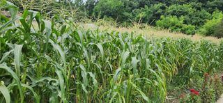 박종혁 님의 자유주제 · 자유게시판 작성글 사진