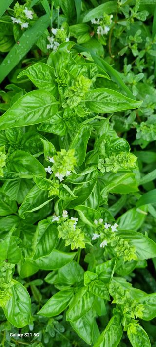 전순옥님의 자유주제 · 자유게시판 작성글 사진