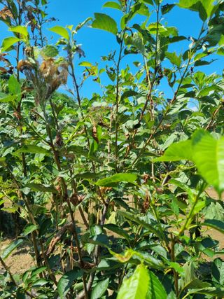 이병문님의 자유주제 · 자유게시판 작성글 사진