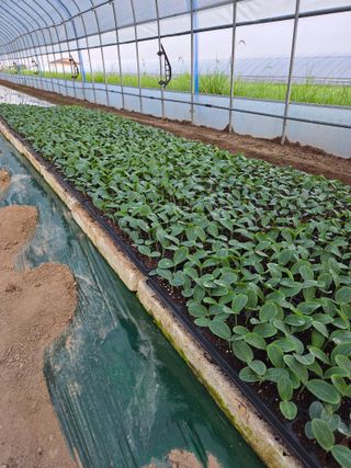 머슴님의 자유주제 · 자유게시판 작성글 사진