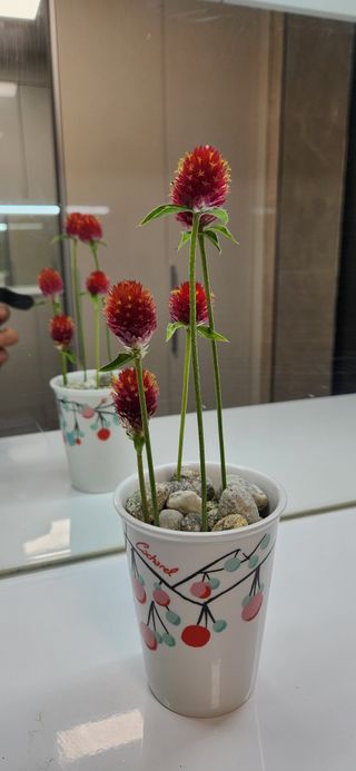 박종혁 님의 자유주제 · 자유게시판 작성글 사진