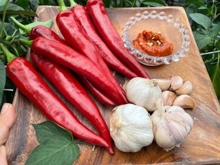 호동댁님의 자유주제 · 자유게시판 작성글 사진