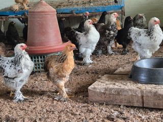 천운산님의 자유주제 · 자유게시판 작성글 사진