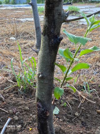 이세순님의 자유주제 · 자유게시판 작성글 사진