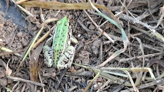 MSG0074님의 자유주제 · 자유게시판 작성글 사진