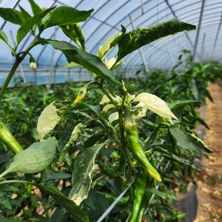 유원준님의 자유주제 · 자유게시판 작성글 사진