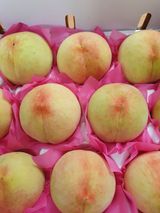 팜모닝 농사, 무엇이든 물어보세요!·참여글 게시글 이미지