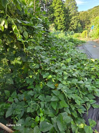 이세순님의 자유주제 · 자유게시판 작성글 사진