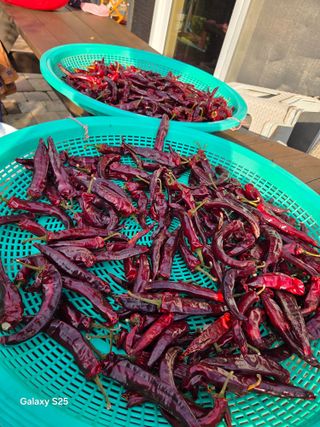 이세순님의 자유주제 · 자유게시판 작성글 사진