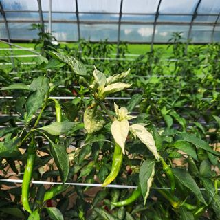 유원준님의 자유주제 · 자유게시판 작성글 사진