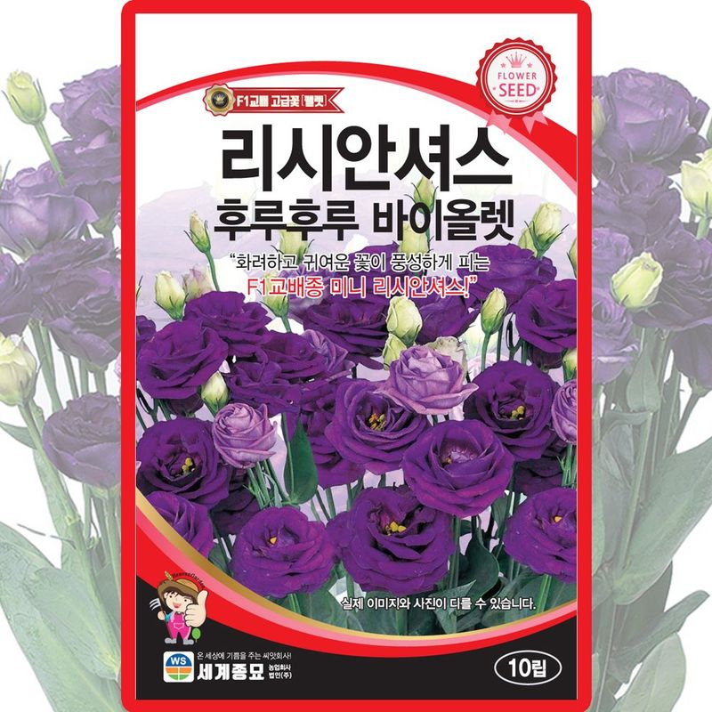 장터 상품 [리시안셔스 후루후루바이올렛 씨앗 10립 종자 5봉 구매시+랜덤씨앗 1개 증정] 썸네일