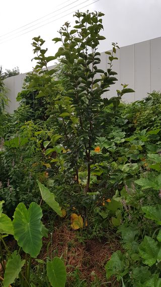 써니님의 자유주제 · 자유게시판 작성글 사진