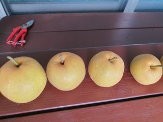 하나라도 소중하게님의 배 · 일상 작성글 사진