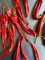 팜모닝 자유주제·사진전 게시글 이미지