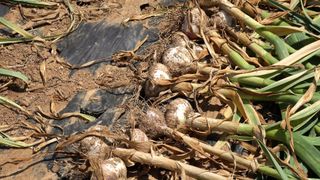 누보농장님의 자유주제 · 자유게시판 작성글 사진