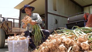 누보농장님의 자유주제 · 자유게시판 작성글 사진