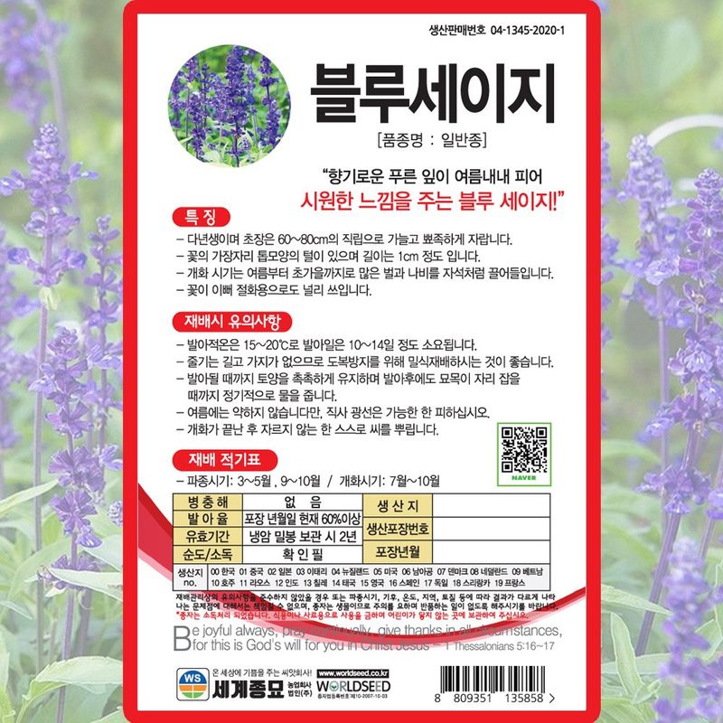 산들마켓,씨앗마켓님의 장터 판매 상품 [블루세이지 씨앗 100립 종자 5봉 구매시+랜덤씨앗 1개 증정] 첨부 사진