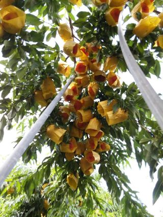 김둘점님의 작성글 사진