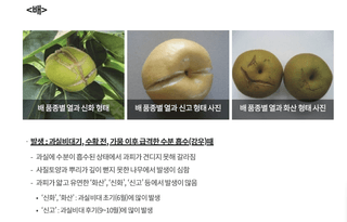 엔피코뉴스님의 자유주제 · 자유게시판 작성글 사진