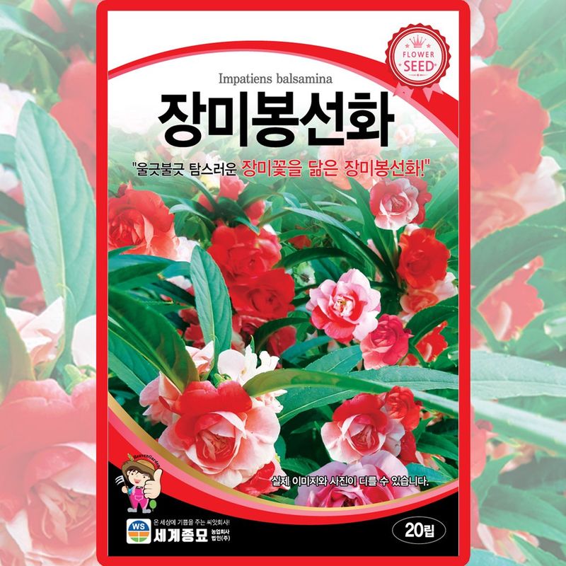 장터 상품 [장미봉선화 씨앗 20립 종자 5봉 구매시+랜덤씨앗 1개 증정] 썸네일