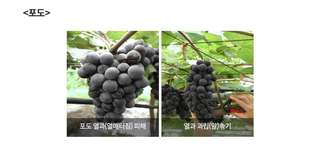 엔피코뉴스님의 자유주제 · 자유게시판 작성글 사진