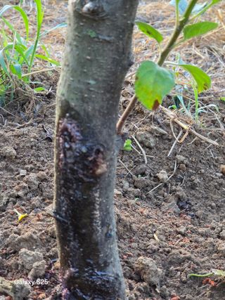이세순님의 자유주제 · 자유게시판 작성글 사진